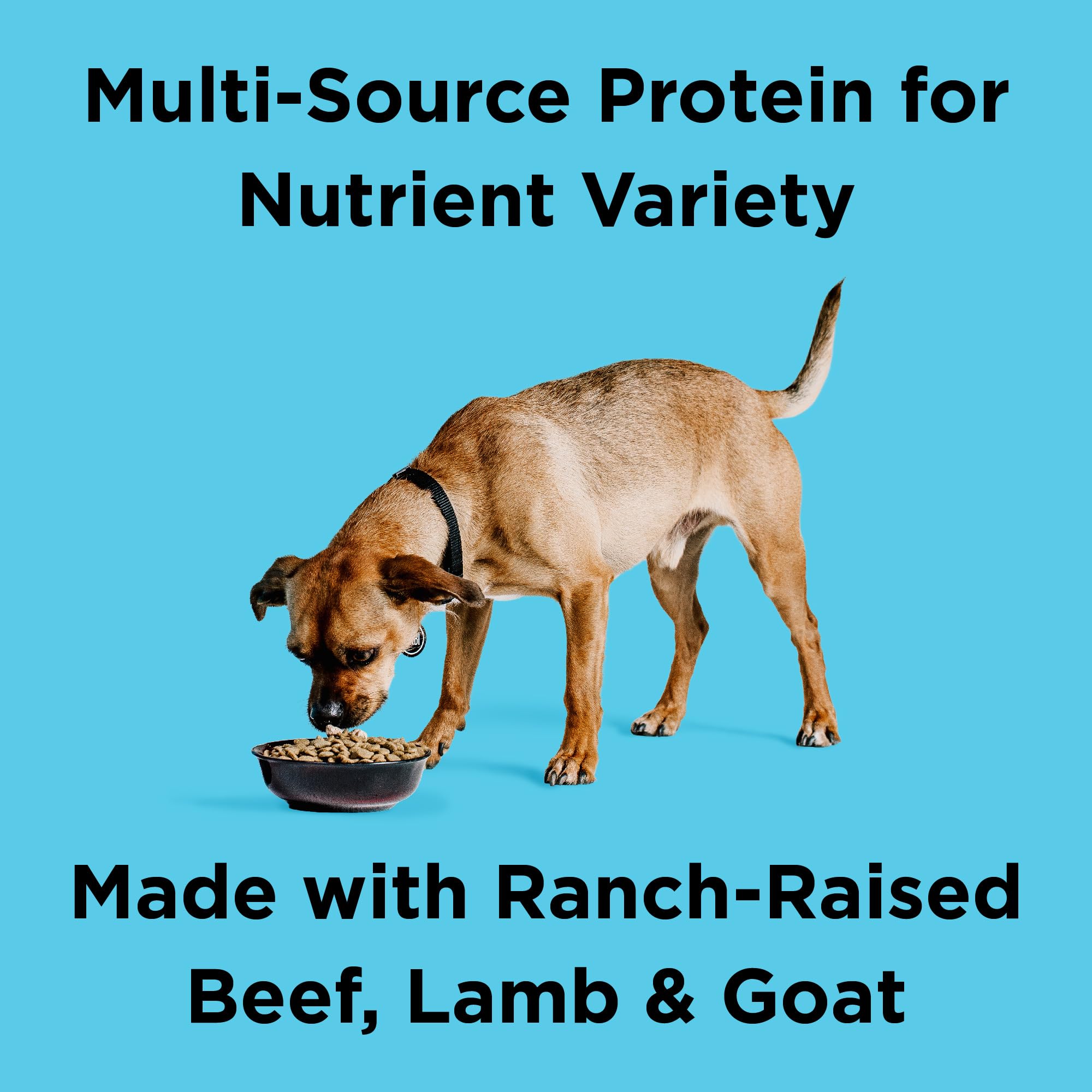 BIXBI Liberty Rancher’s Red bag front highlights USA-made production and quality ingredients.