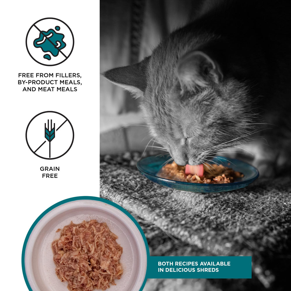 BIXBI Liberty tuna-chicken cans showcase moisture-rich, flavorful options for cats.