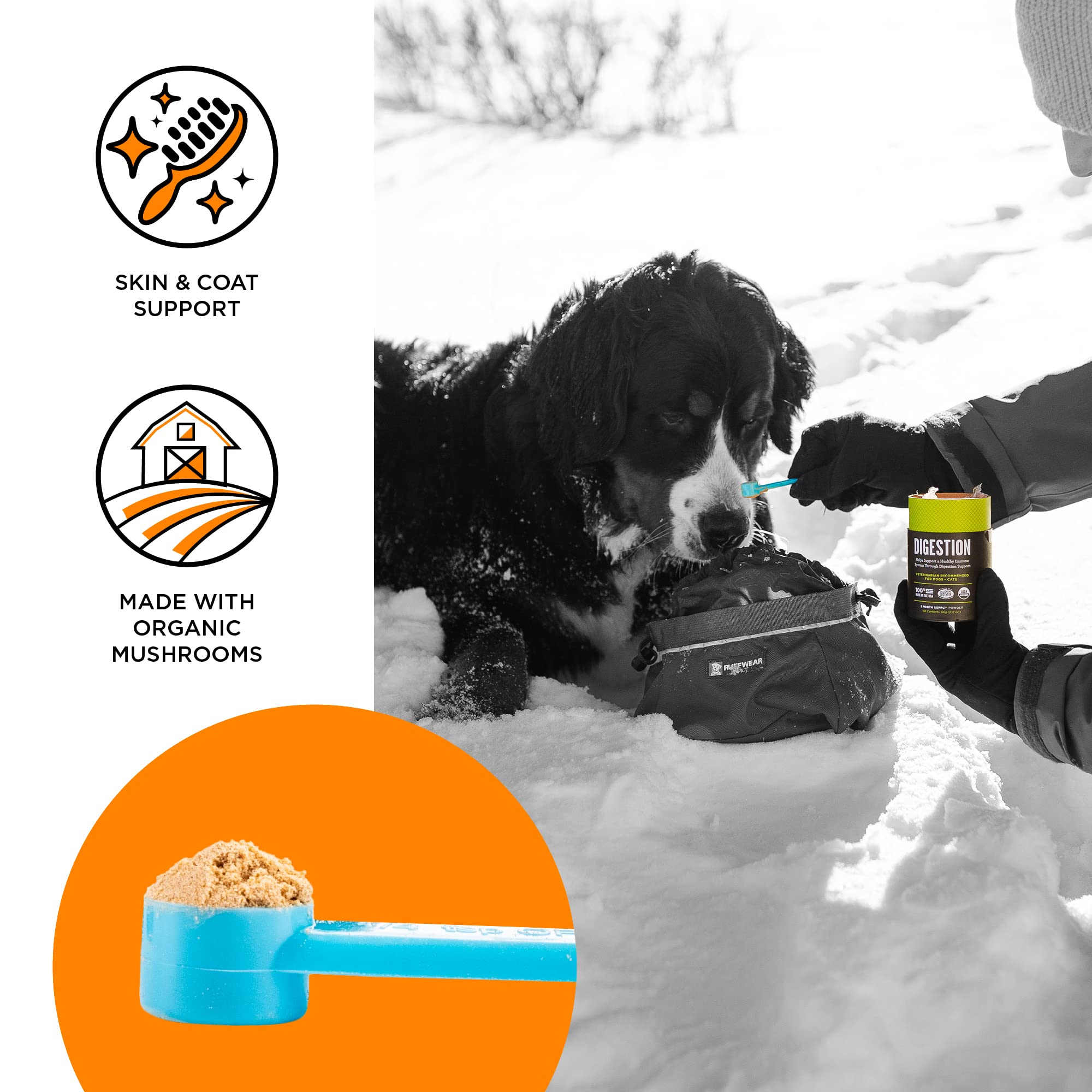 BIXBI Organic Mushroom Powder dispenser shows easy daily use for pets.