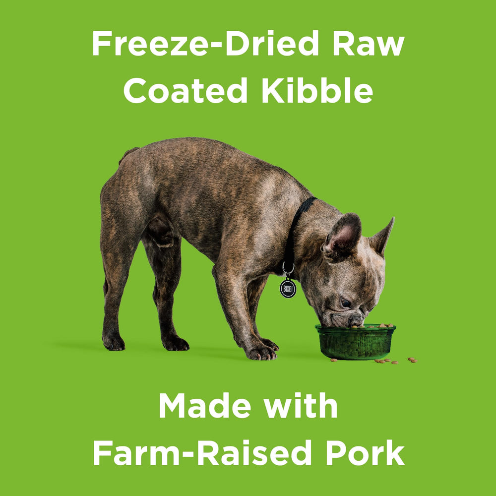 BIXBI Rawbble 29-percent protein aids active dogs during workouts