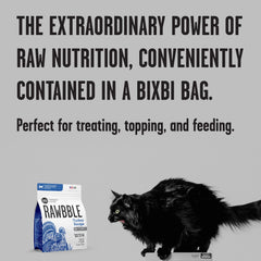 BIXBI Rawbble close-up texture highlights 94% meat and organs