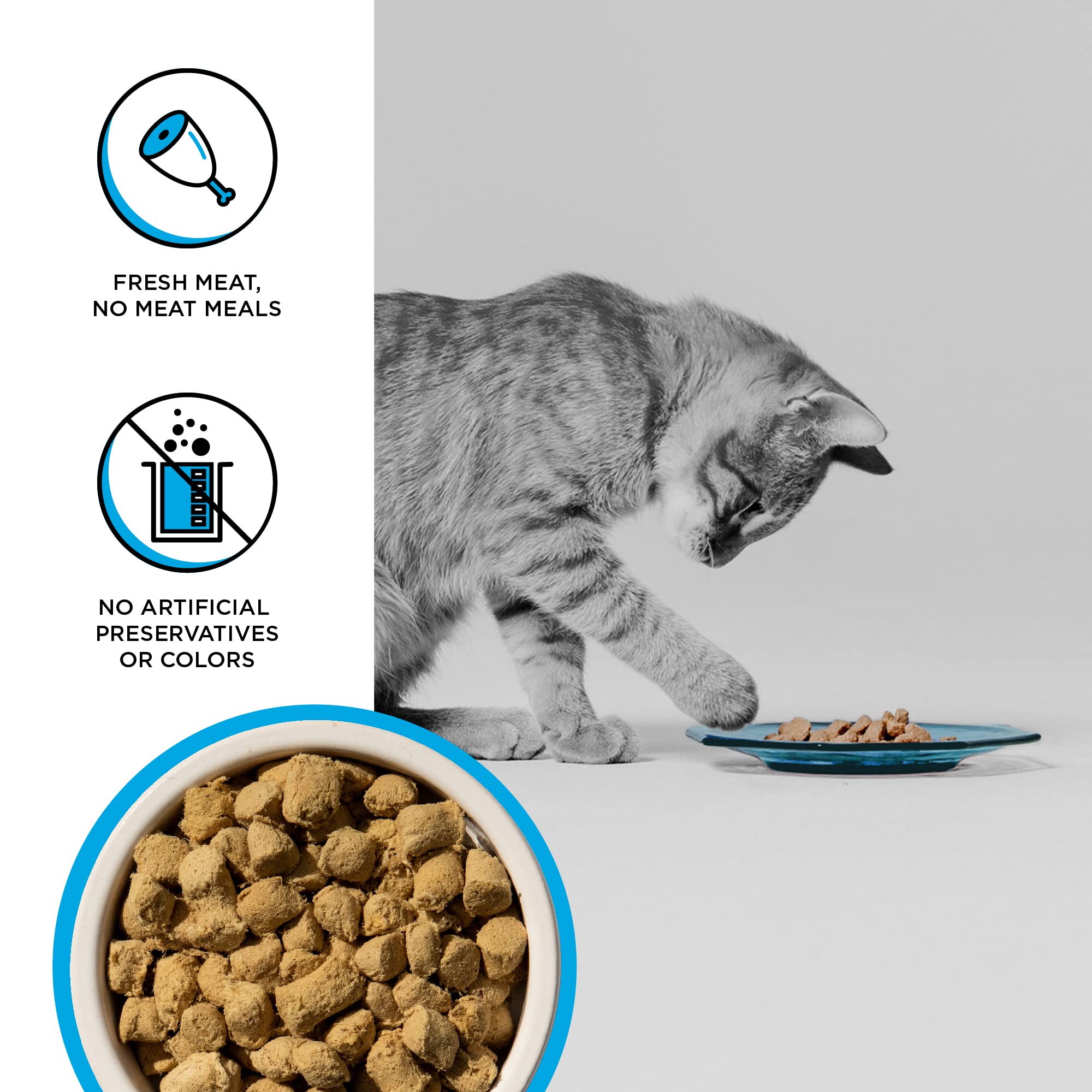 BIXBI Rawbble 95% meat and organs closeup highlights whole-animal nutrition