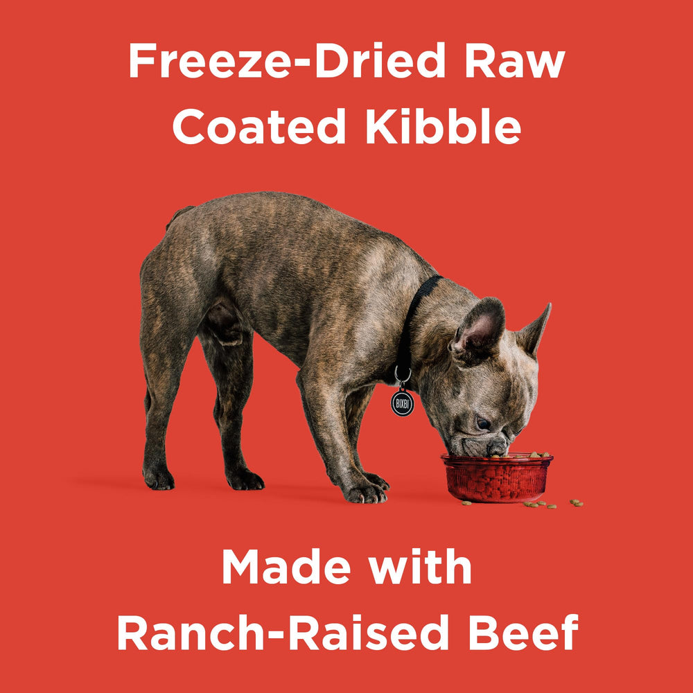 BIXBI Rawbble beef-first formula supports lean muscle and energy for active dogs