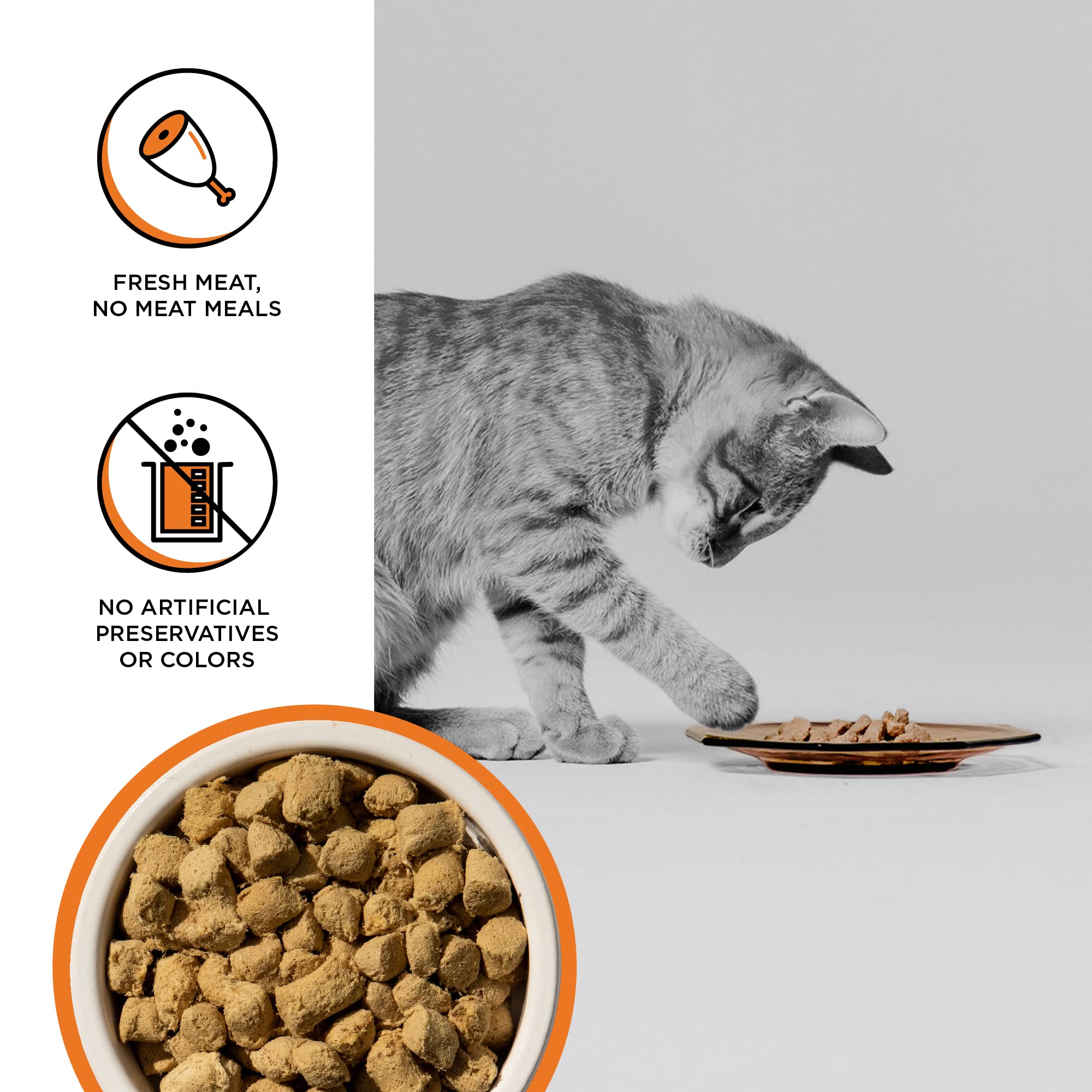 BIXBI RAWBBLE freeze-dried chicken chunks close-up demonstrates high-protein nutrition.