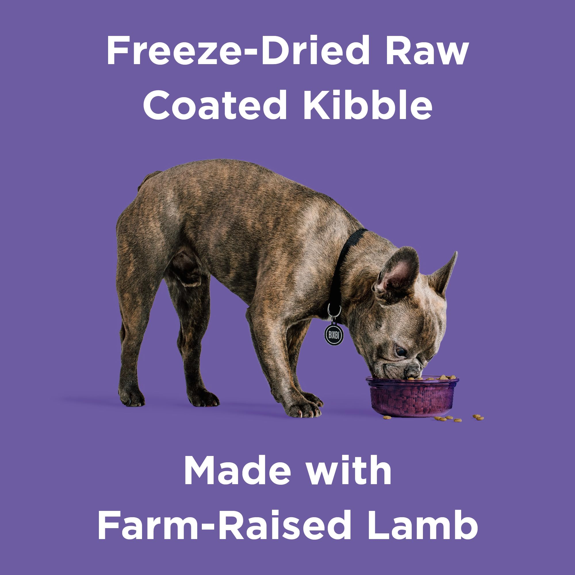 BIXBI Rawbble fresh-lamb protein bites for lean muscle support.