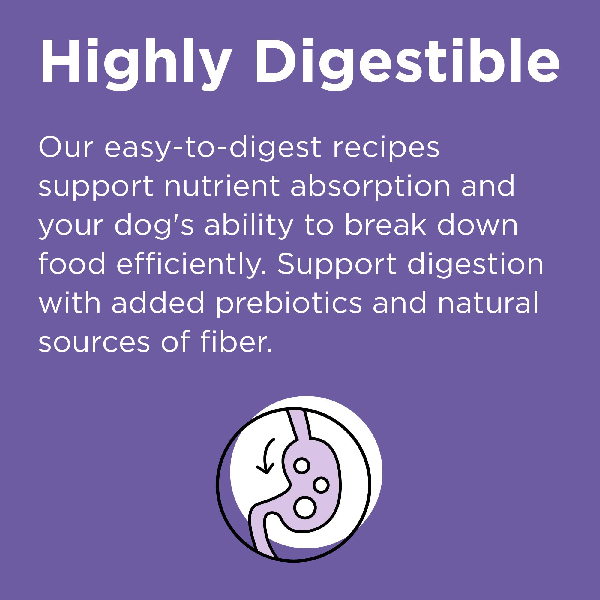BIXBI Rawbble grain-free diet with lentils and peas for balanced nutrition.