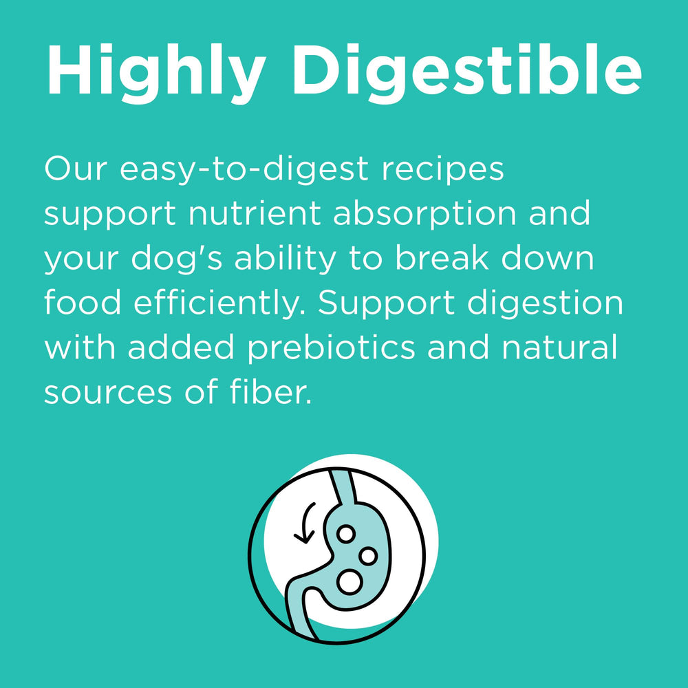 BIXBI Rawbble lentils and peas in recipe for balanced carbs