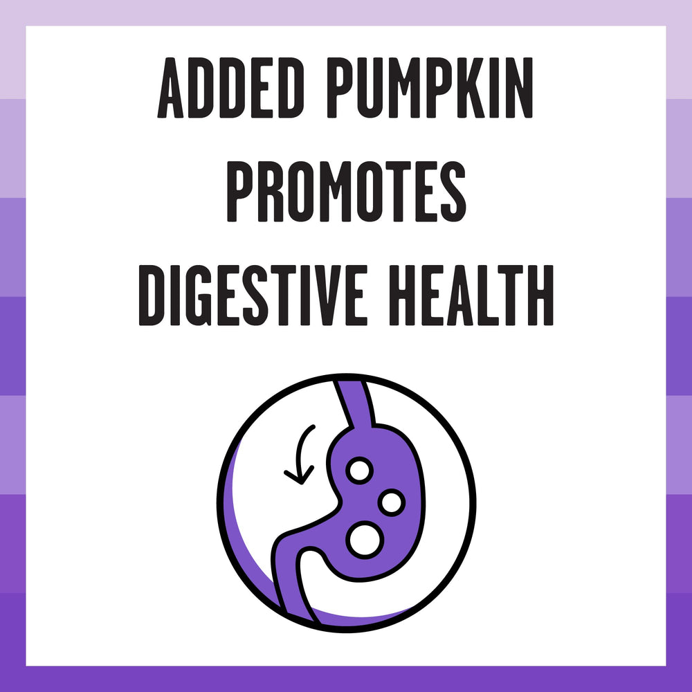 BIXBI Rawbble pumpkin ingredient signals fiber-friendly assistance.