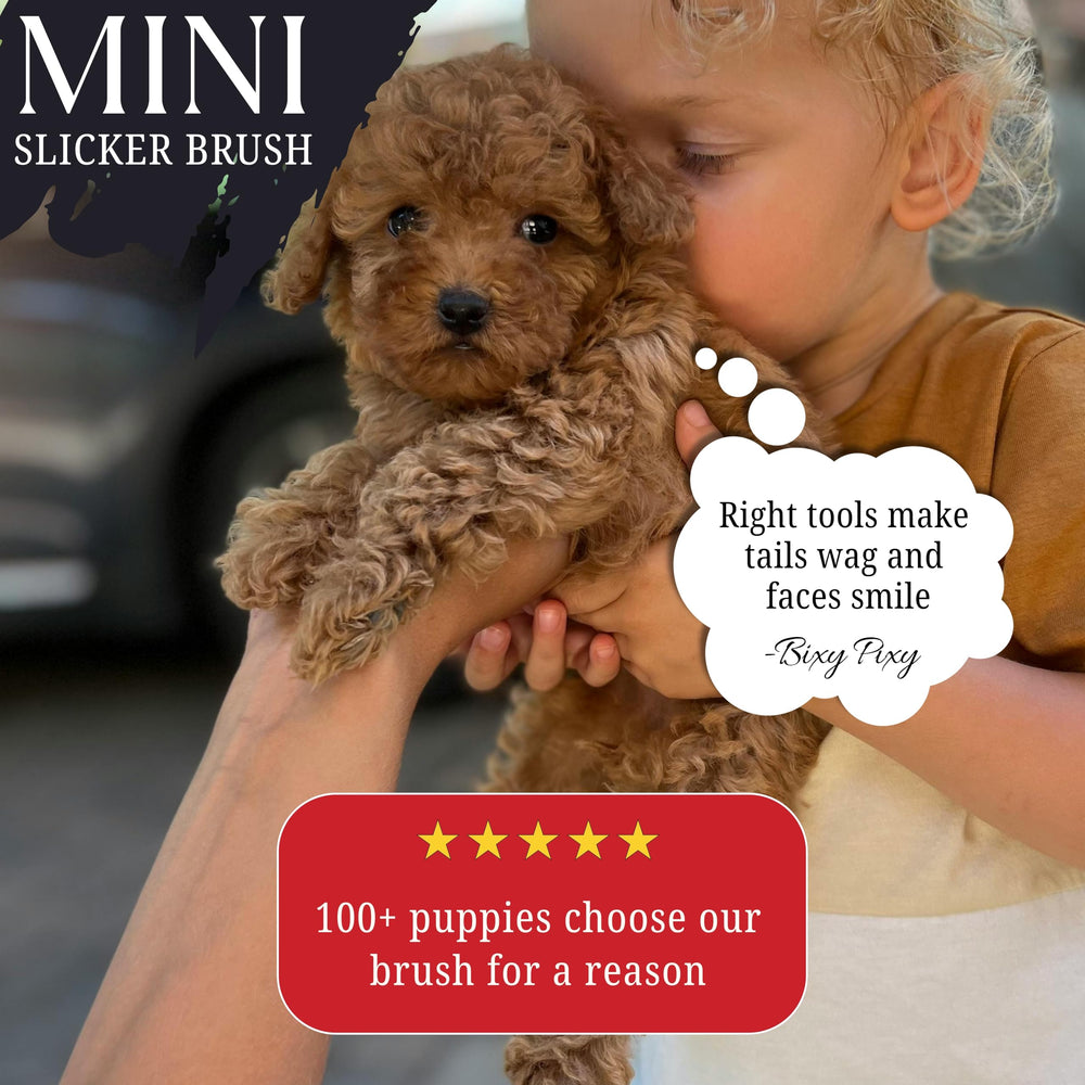 Bixy Pixy Mini Brush is built for long-lasting use and easy maintenance.