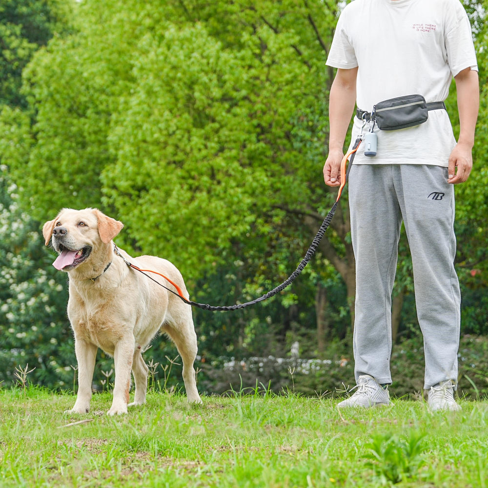 BJDQHKJ reflective stitching increases visibility during early morning runs.
