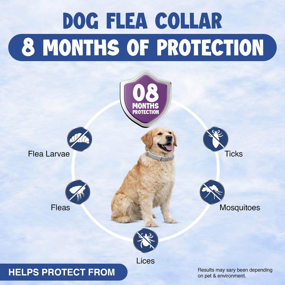 BKRMART adjustable dog collar fits puppies to large dogs for secure wear.
