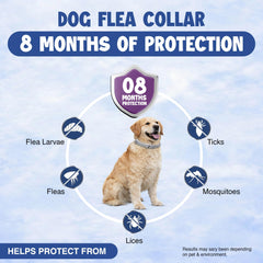 BKRMART adjustable dog collar fits puppies to large dogs for secure wear.