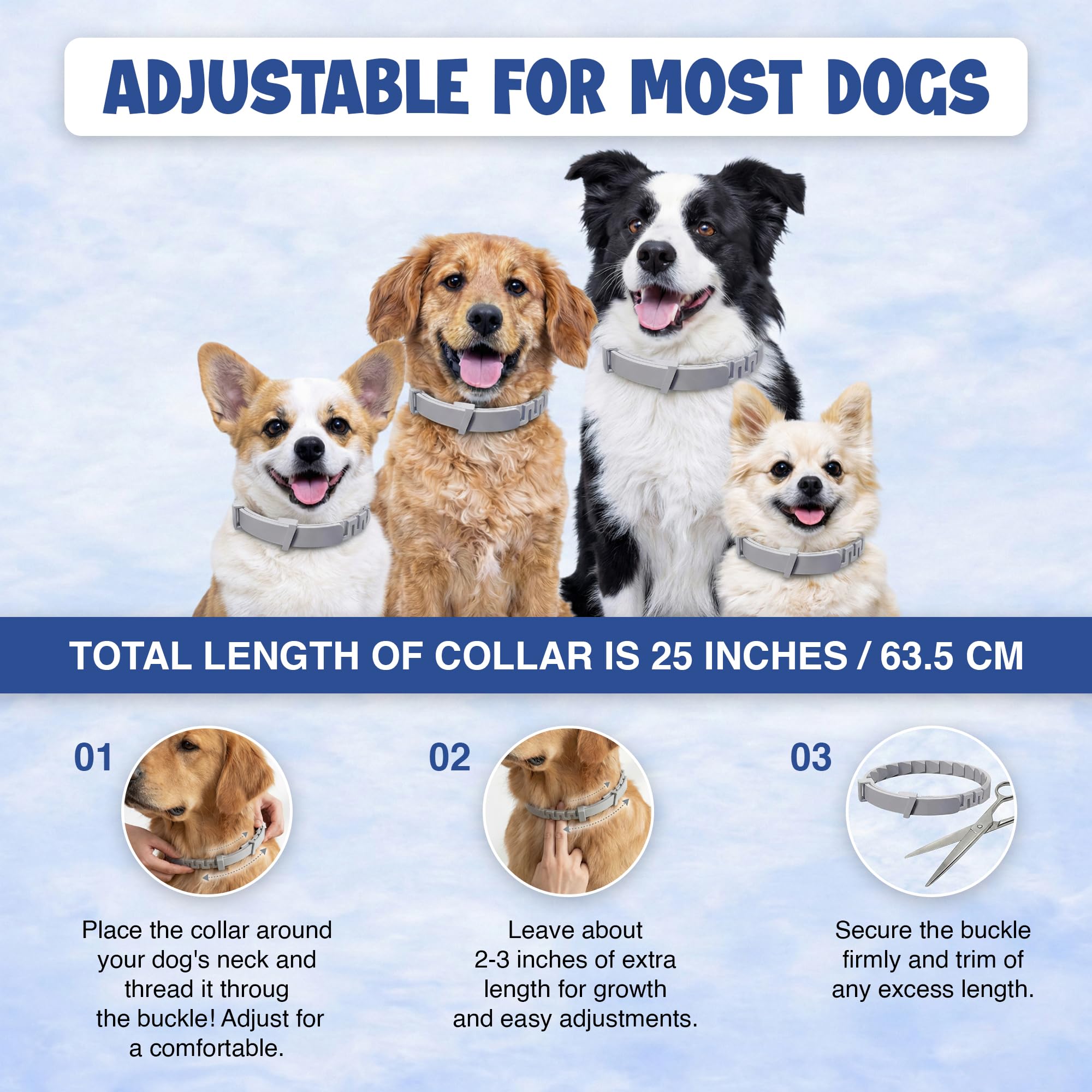 BKRMART dog wearing collar outdoors enjoying protection during activities.