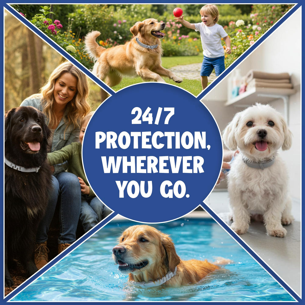 BKRMART tick removal tools included for safe grooming and pest checks.