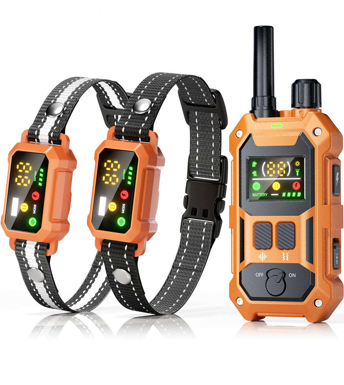 Blackdog military-grade dog collar ready for rugged outdoor adventures.