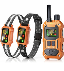 Blackdog military-grade dog collar ready for rugged outdoor adventures.
