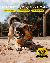 Blackdog remote with LCD display for precise training mode selection.
