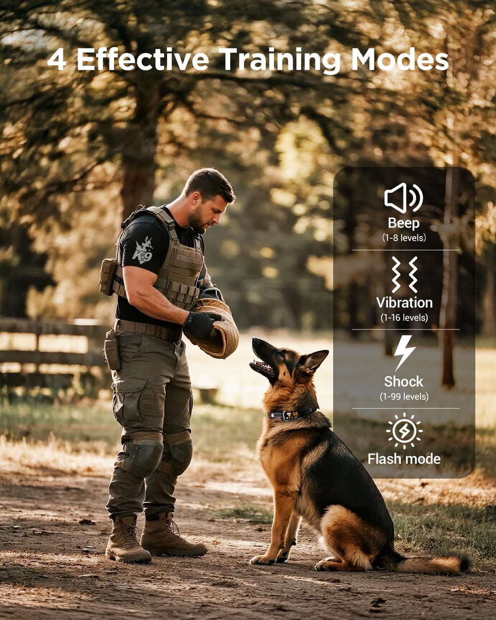 Blackdog night visibility with remote flashlight and collar strobe for locating your dog.