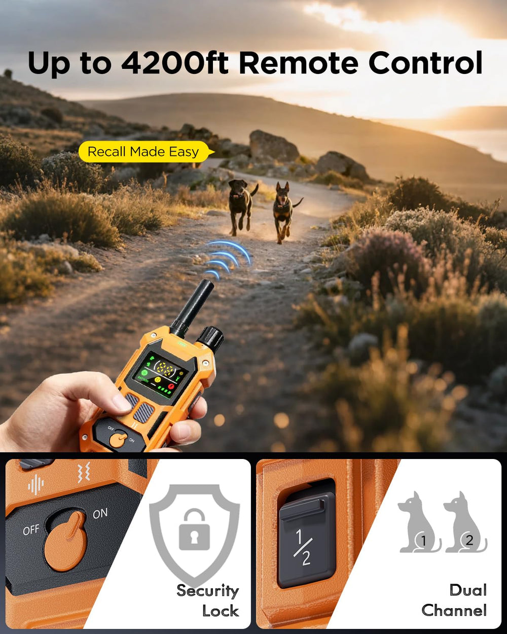 Blackdog dual-channel control supports training two dogs simultaneously.