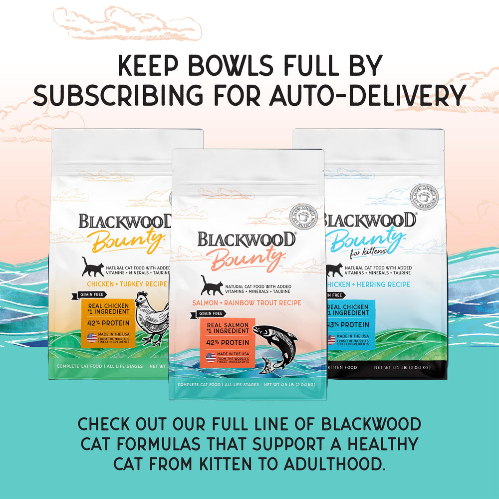 Blackwood Bounty real salmon rainbow trout flavor adds palatability for cats.
