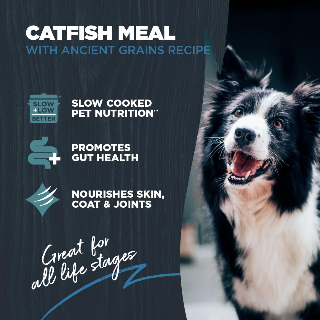 Blackwood catfish meal with ancient grains kibble in a bowl for all life stages