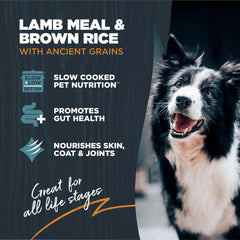 Blackwood Lamb meal and brown rice image promoting healthy coat and skin.