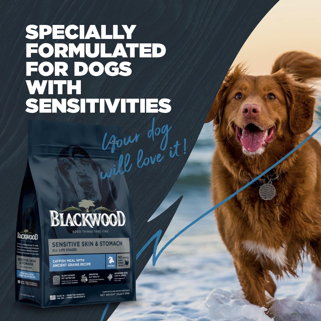 Blackwood USA-made family-owned brand sign for trusted quality