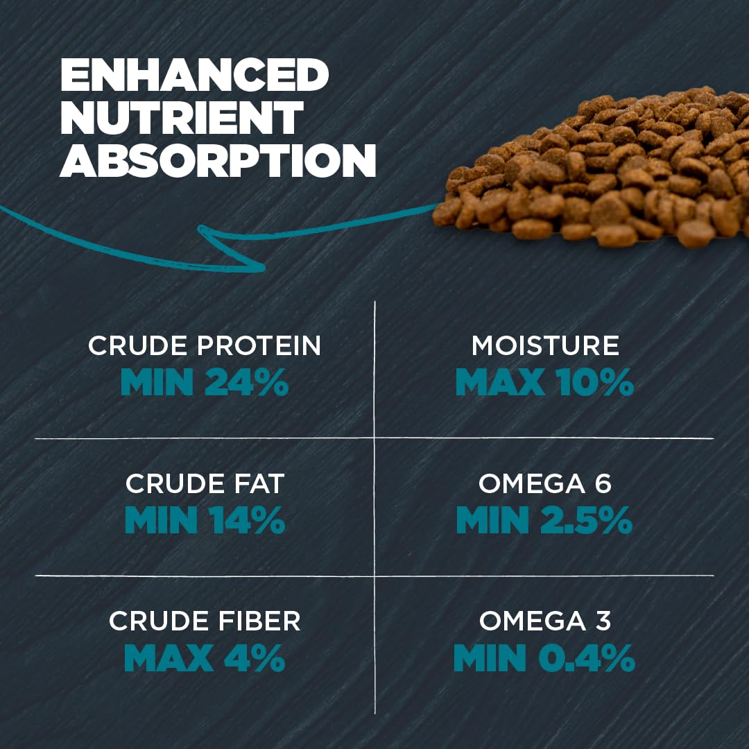 Omega-6 and Omega-3 fats in Blackwood nourish skin, coat, and joints.