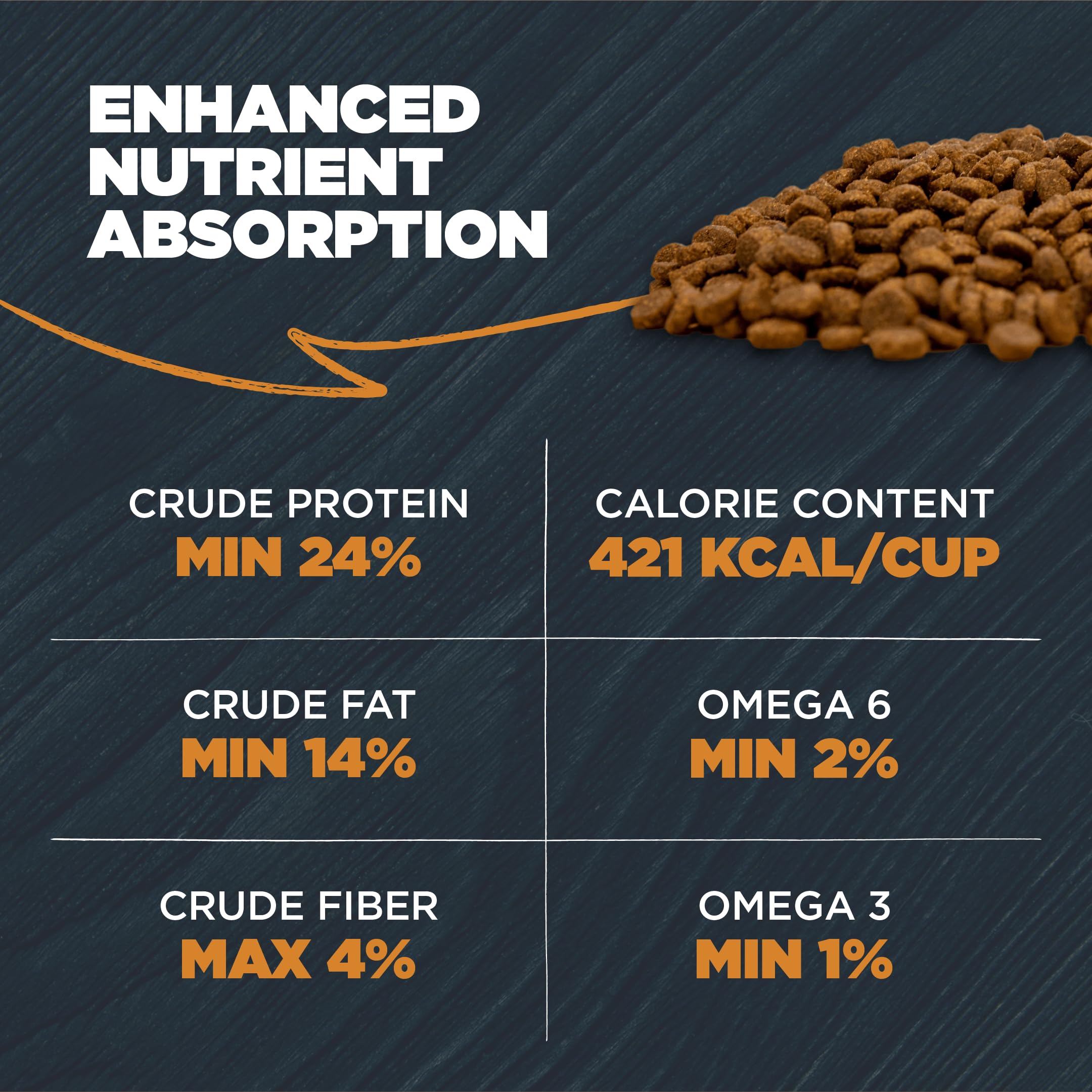Omega-6 and Omega-3 fatty acids nourish skin and coat in Blackwood kibble.