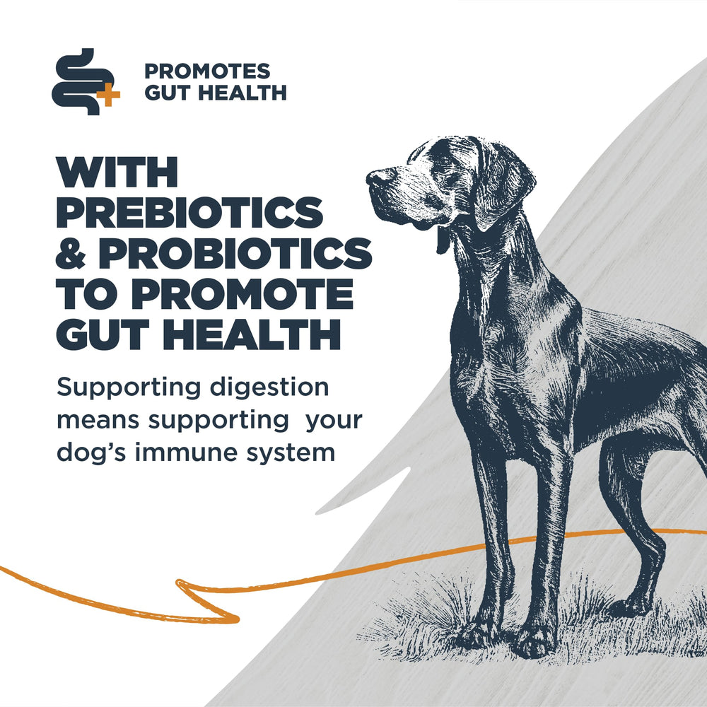 Prebiotics and probiotics in Blackwood for digestive support.