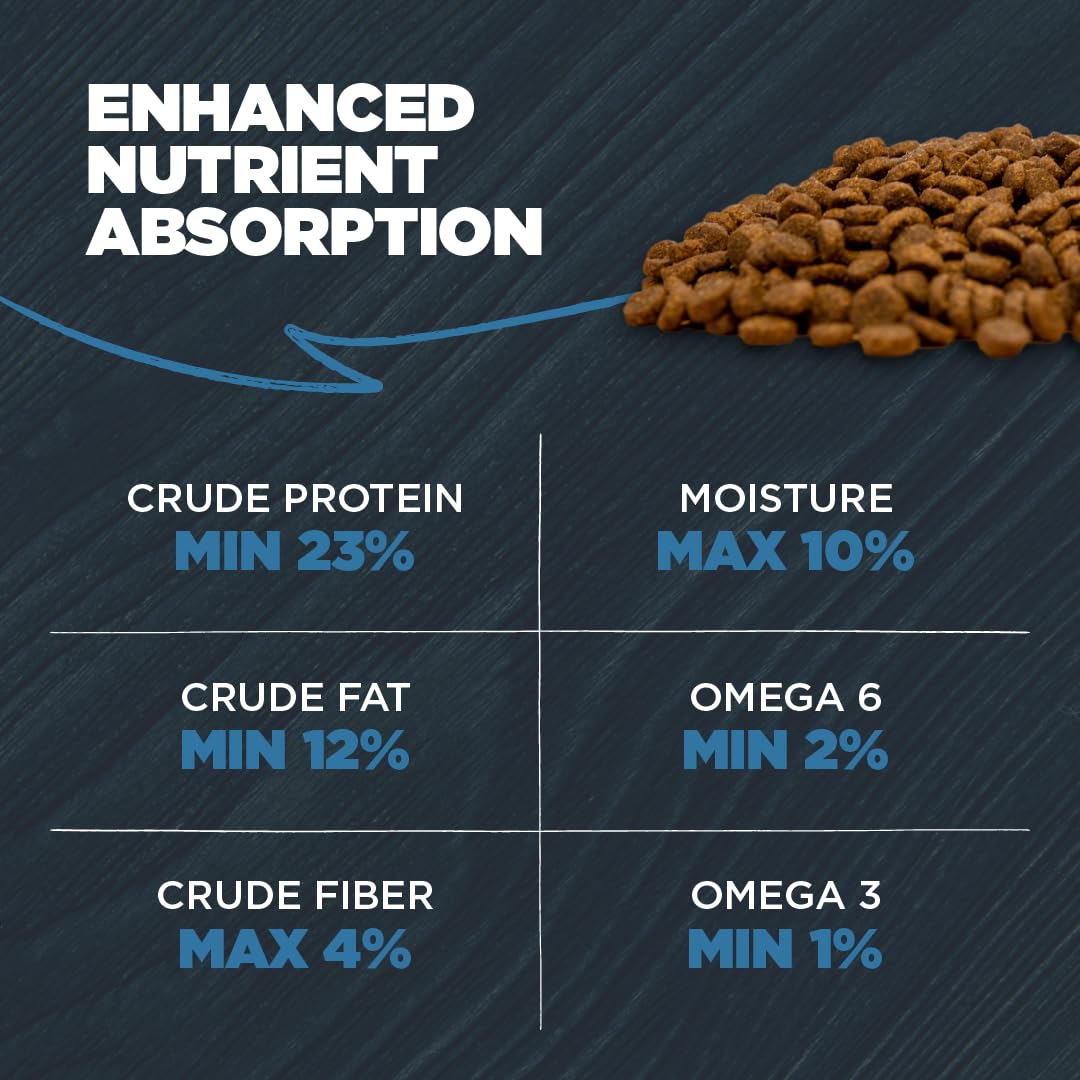 Blackwood omega-6 and omega-3 fats nourish skin, coat, and joints
