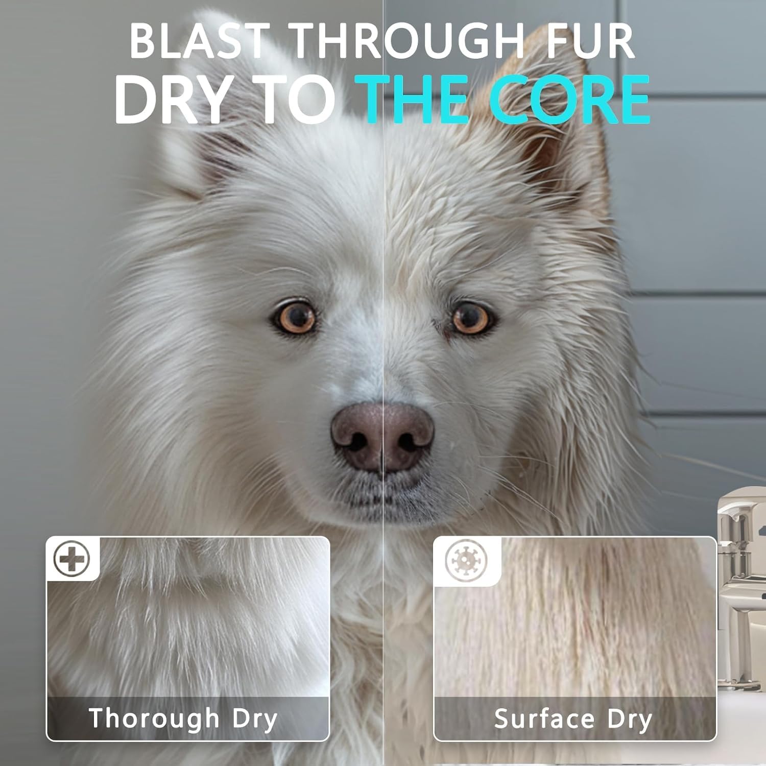 Blanlody high velocity dryer with extended hose for flexible grooming