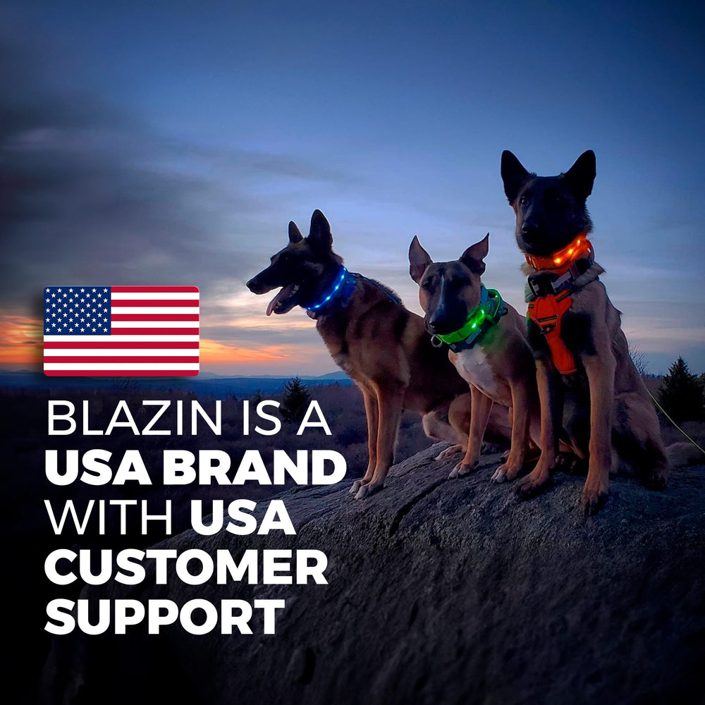 Blazin package includes collar and charging cable