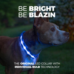 Blazin LED dog collar close-up highlighting bright lights for visibility