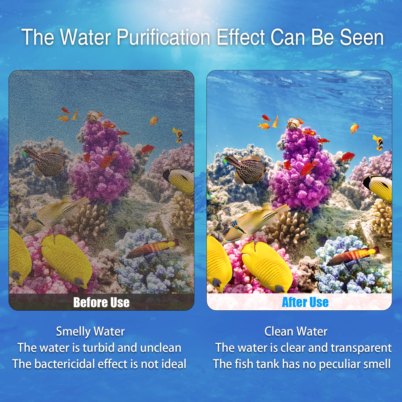 BLBAISH replacement tips guide timely changes to maintain water quality