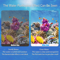 BLBAISH replacement tips guide timely changes to maintain water quality