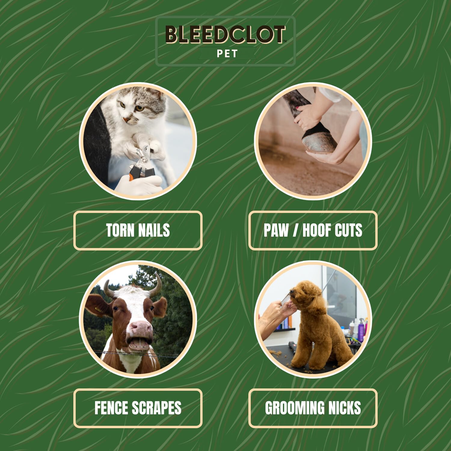 BleedClot Pet four pouches pack for versatile barns.
