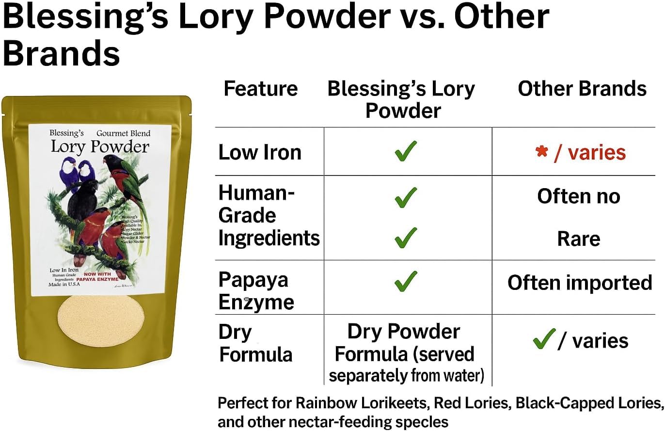 Lorikeet enjoys Blessings Gourmet Lory Powder as part of daily diet.