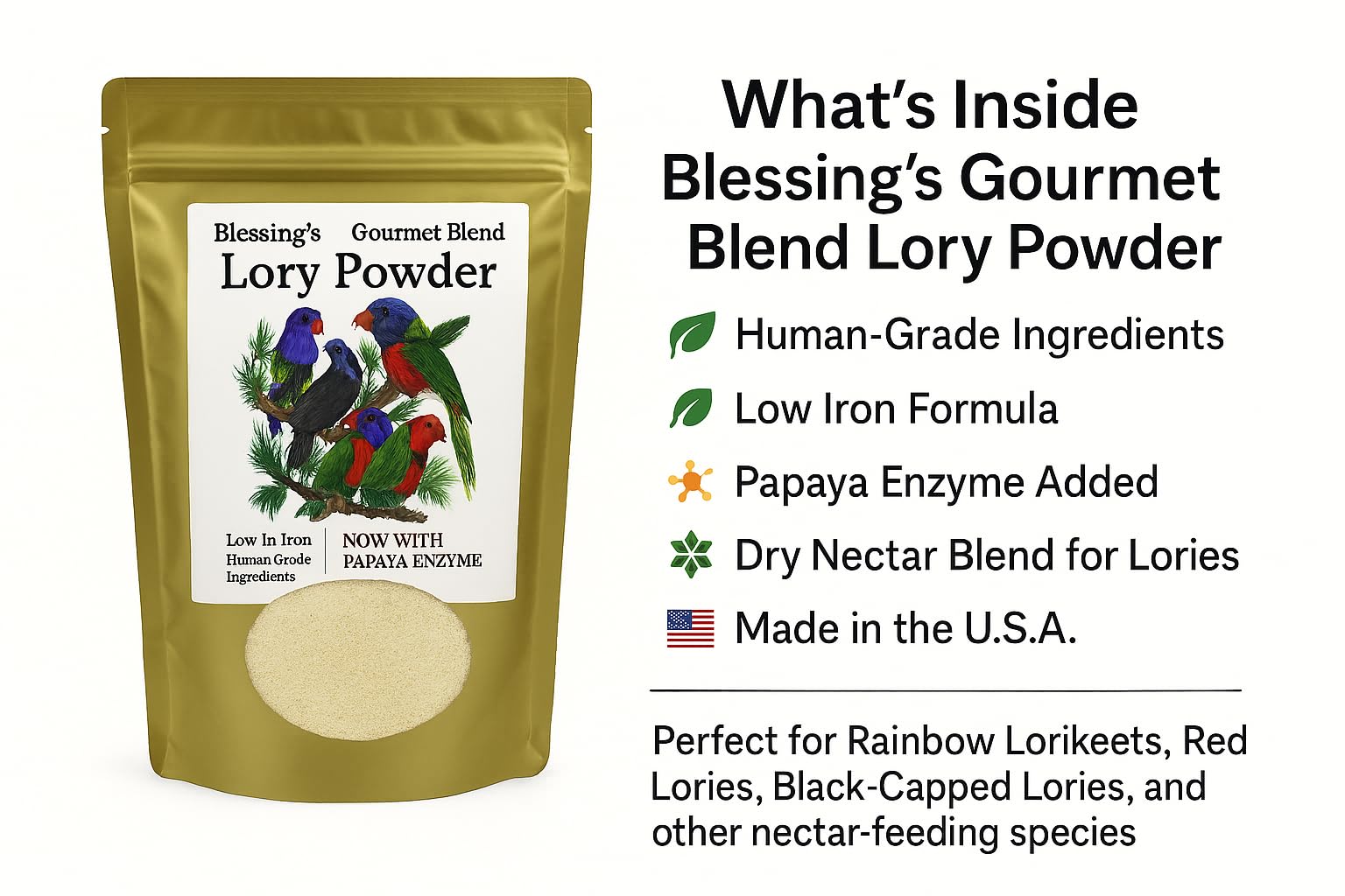 Blessings Gourmet Lory Powder ready to serve in a clean dish.