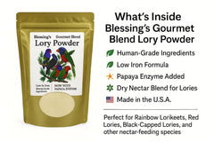 Blessings Gourmet Lory Powder ready to serve in a clean dish.