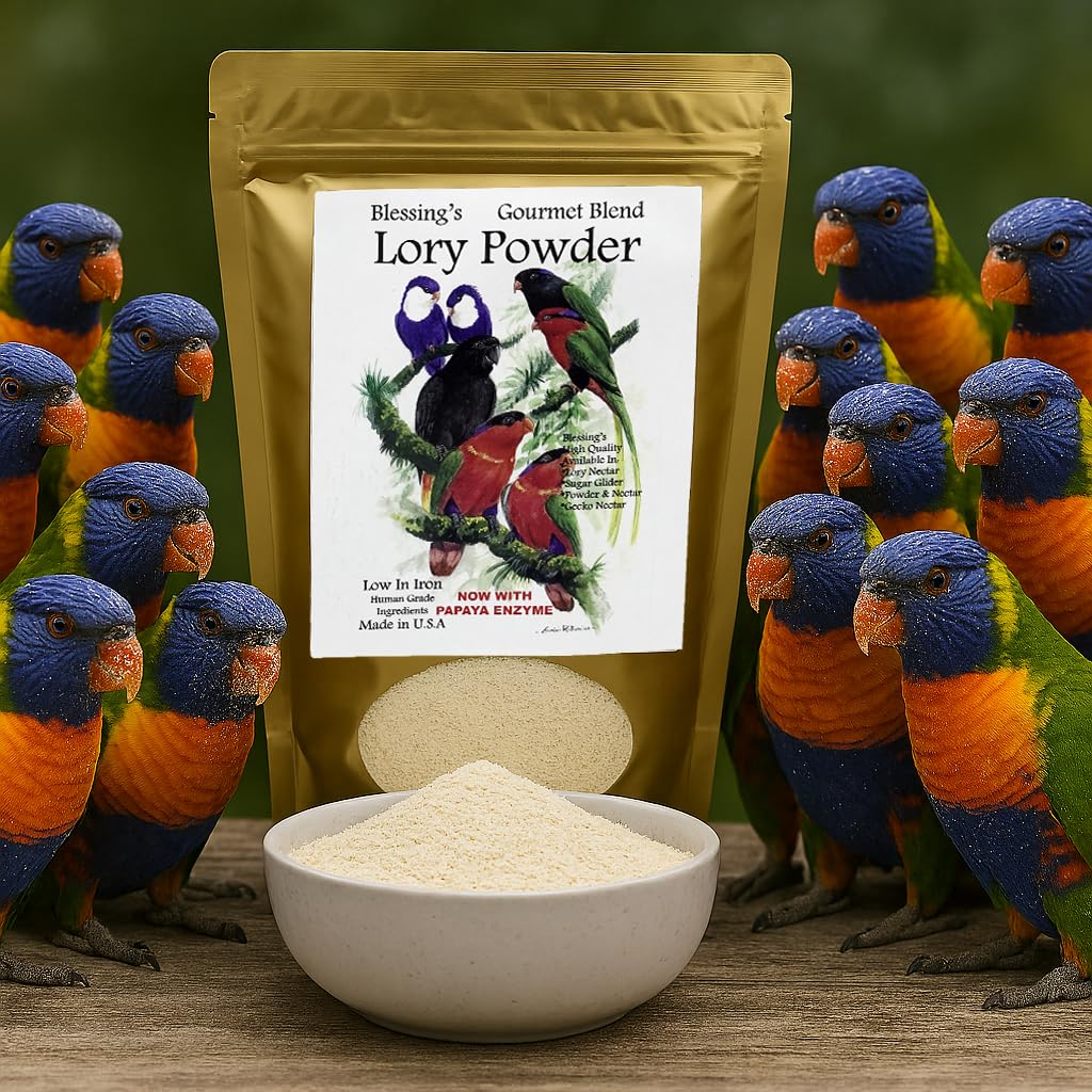 Mixing Blessings Gourmet Lory Powder in a bowl for dry serving.
