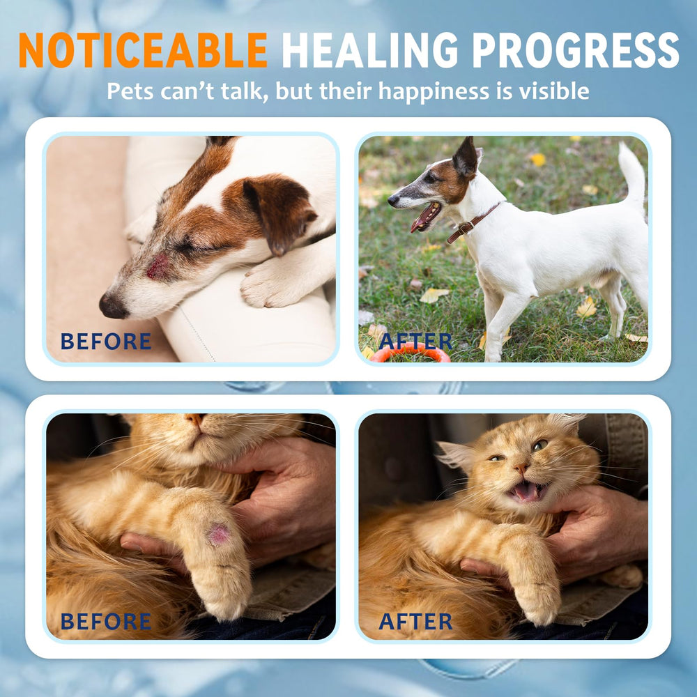 Blessmeet veterinarian-formulated gel packaging signals trusted at-home wound care.