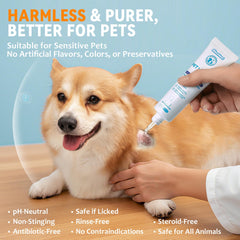 Blessmeet wound care application tip highlights clean, targeted delivery.