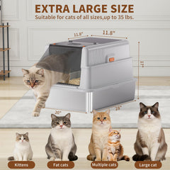BlissBlaze XXXL built-in scratcher pad offers post-use activity for cats.
