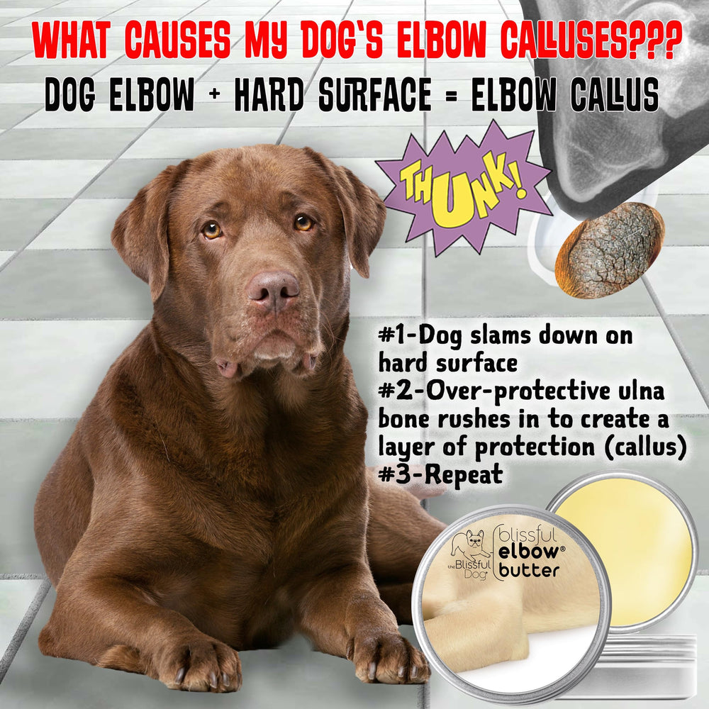 The Blissful Dog Elbow Butter ingredients close-up with nourishing shea and almond oil