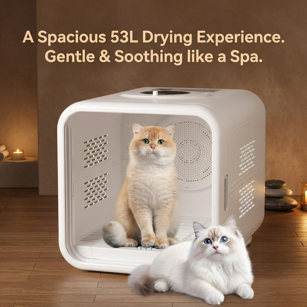 Blisspire Ultra-Quiet Pet Dryer Box adjustable temperature tailors warmth to coat.
