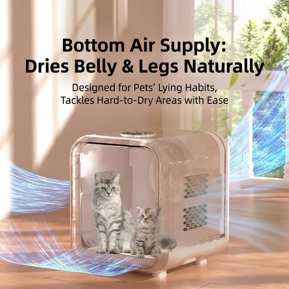 Blisspire Ultra-Quiet Pet Dryer Box shows pet inside, promoting relaxed drying.