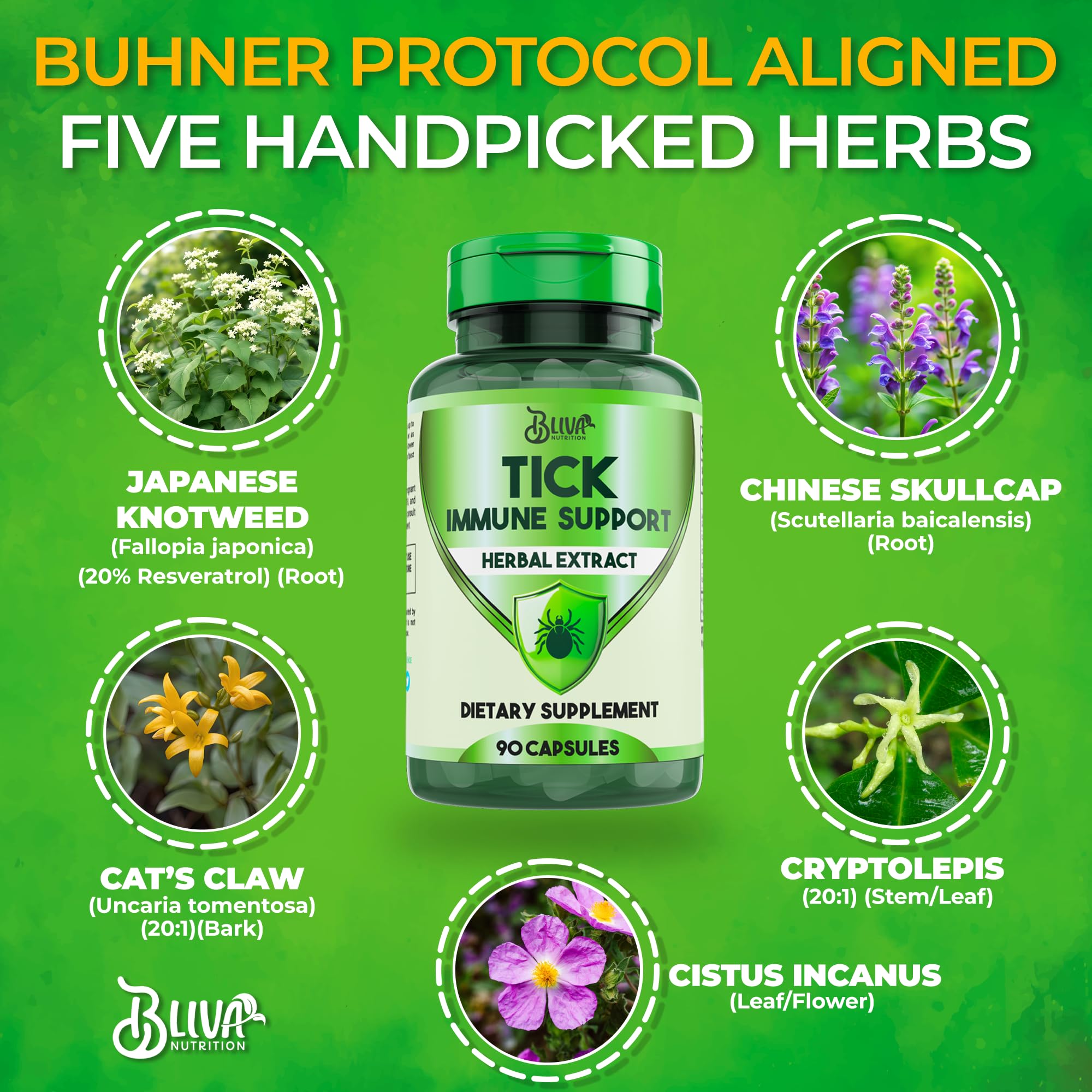 BLIVA Tick Immune Support travel scene suggests on-the-go immune support.