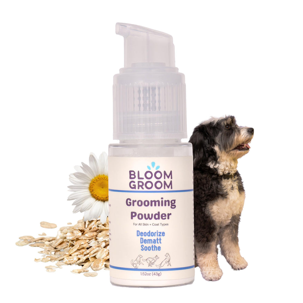 Bloom Groom Poof Powder applied to a doodle coat for quick detangling