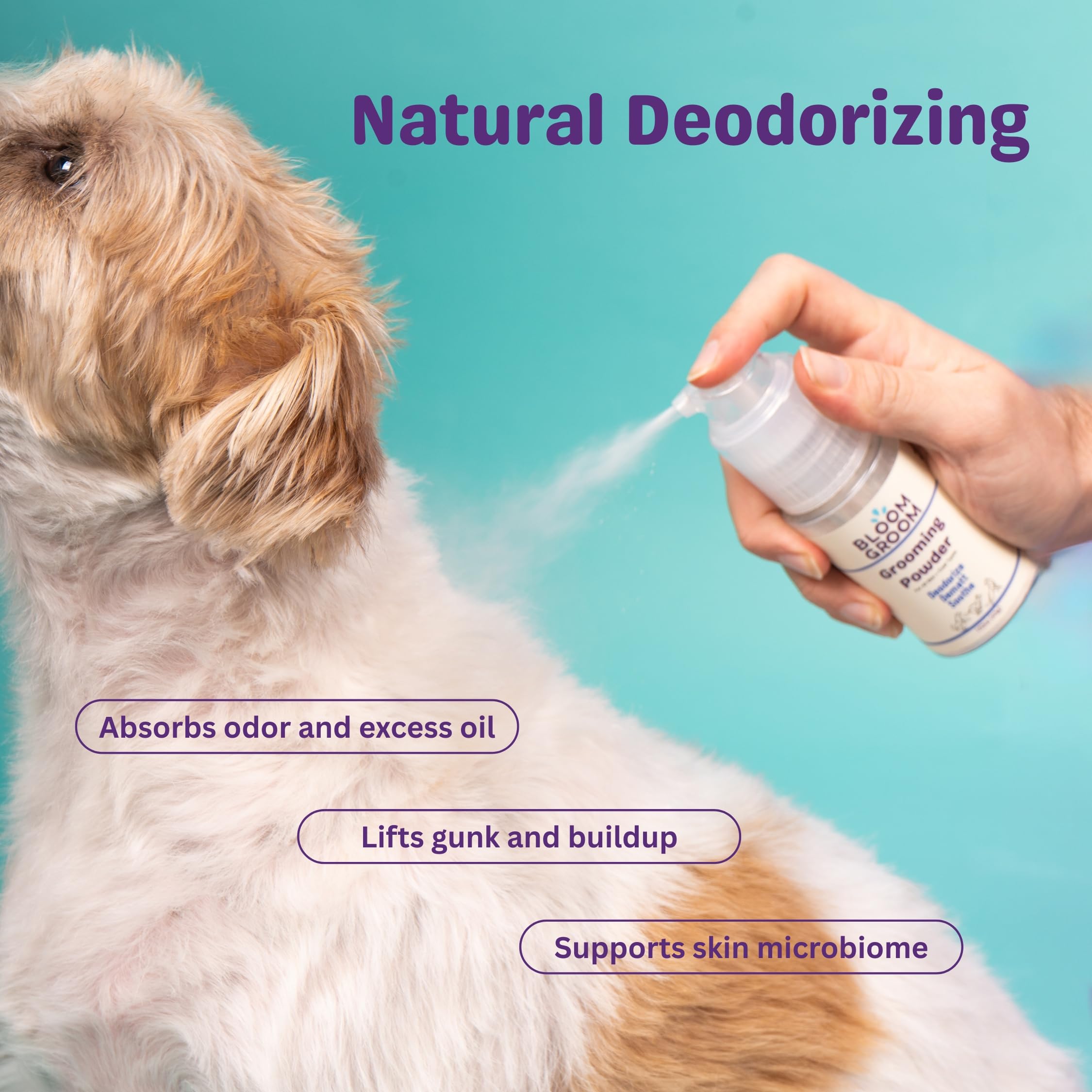 Bloom Groom Poof Powder being brushed through mat-prone coat during detangling